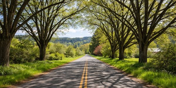 Helvetia: Scenic Farmland, Quiet Living, and a Rural &hellip;