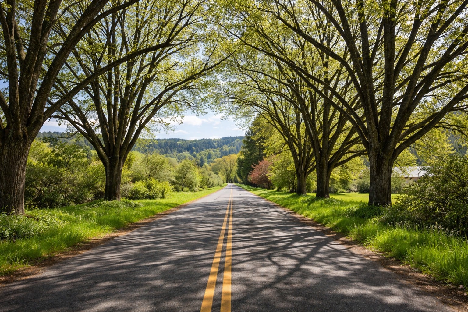 Helvetia: Scenic Farmland, Quiet Living, and a Rur&hellip;