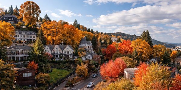 Cedar Mill: Established Neighborhoods, Westside Convenience, and a &hellip;