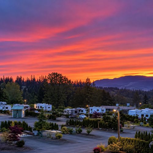 Dundee, OR: Oregon's Wine Country Heart, Culinary Destination Living, and Everything You Need to Know Before You Make the Move