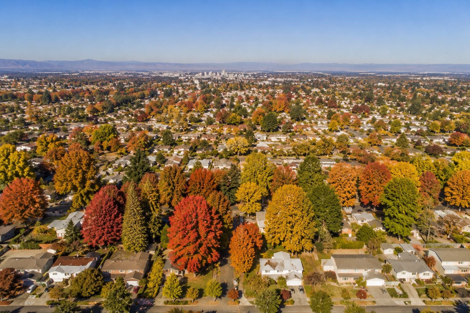compressed_fall_neighborhood