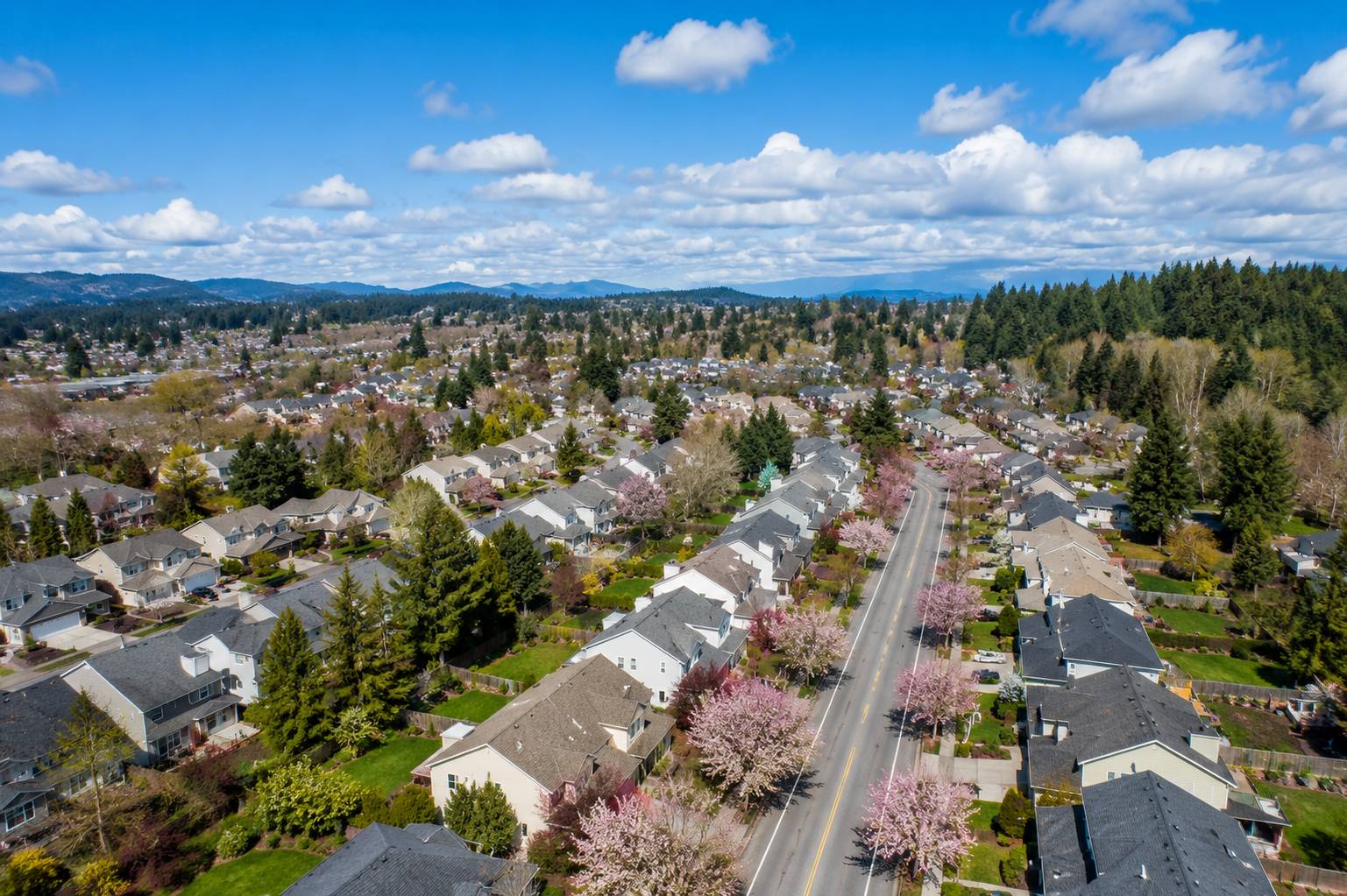 compressed_suburban_spring