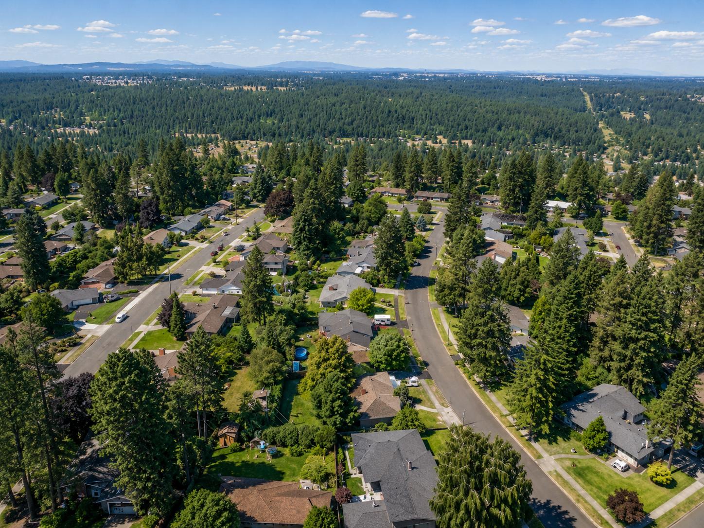 compressed_trees_aerial