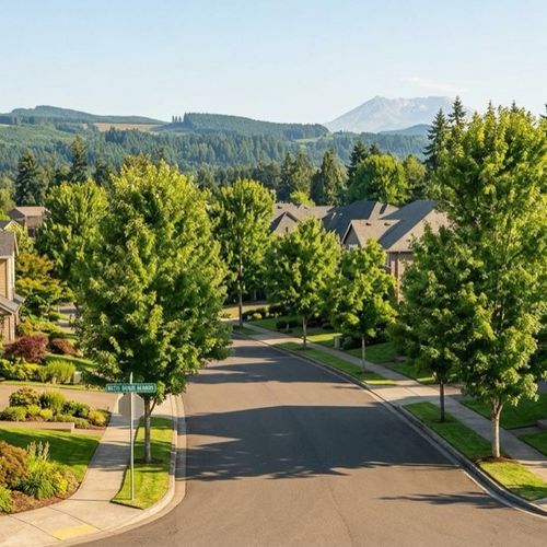 Moving to Battle Ground, WA? Consider Battle Ground Meadows: An Established Neighborhood Near the Center of Clark County