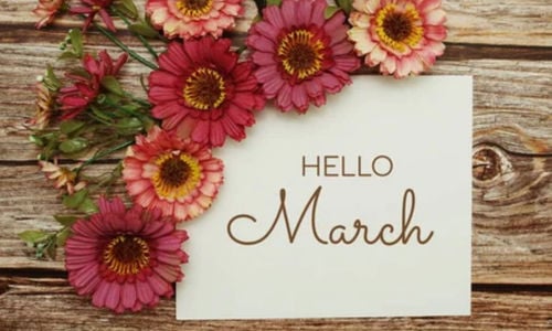 Real Estate Insider: March Edition