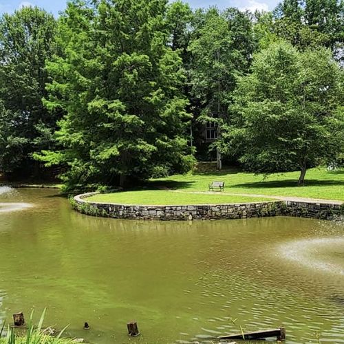 Pros and Cons of Living in Inman Park