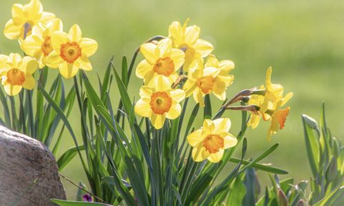 Popular Areas in Smyrna: Where Lifestyle Meets Convenience