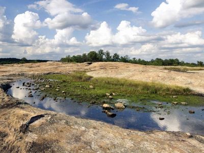 Top 5 Local Hiking Spots in Atlanta