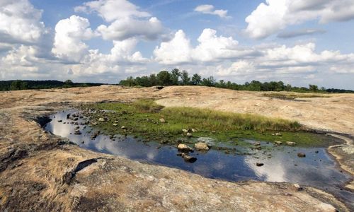 Top 5 Local Hiking Spots in Atlanta