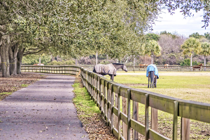 164e7118-adfe-4107-a666-1e44a92d4382