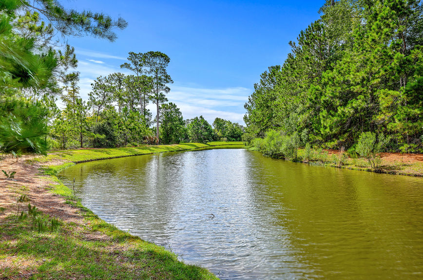 46ffc895-b6d1-4e11-98e4-c458ab2fd959