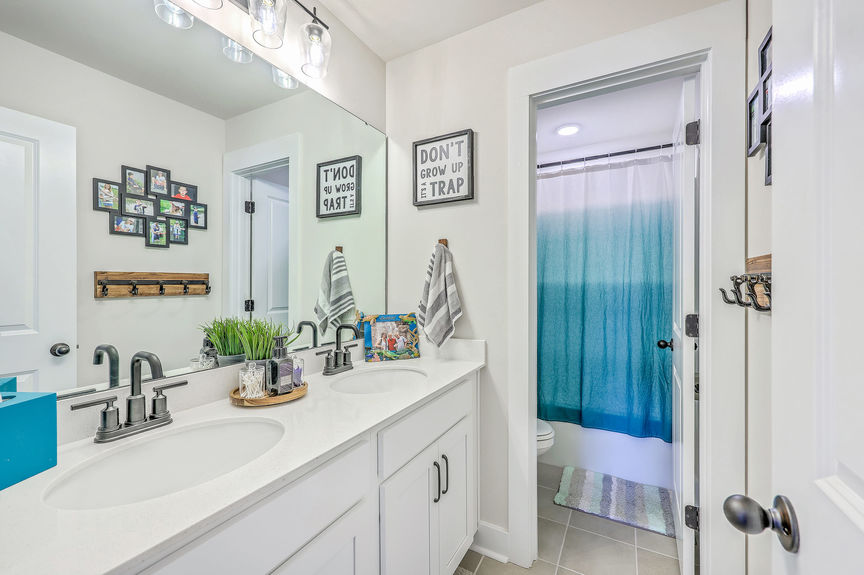 ZYN_2384_85_86_87_88_89_90