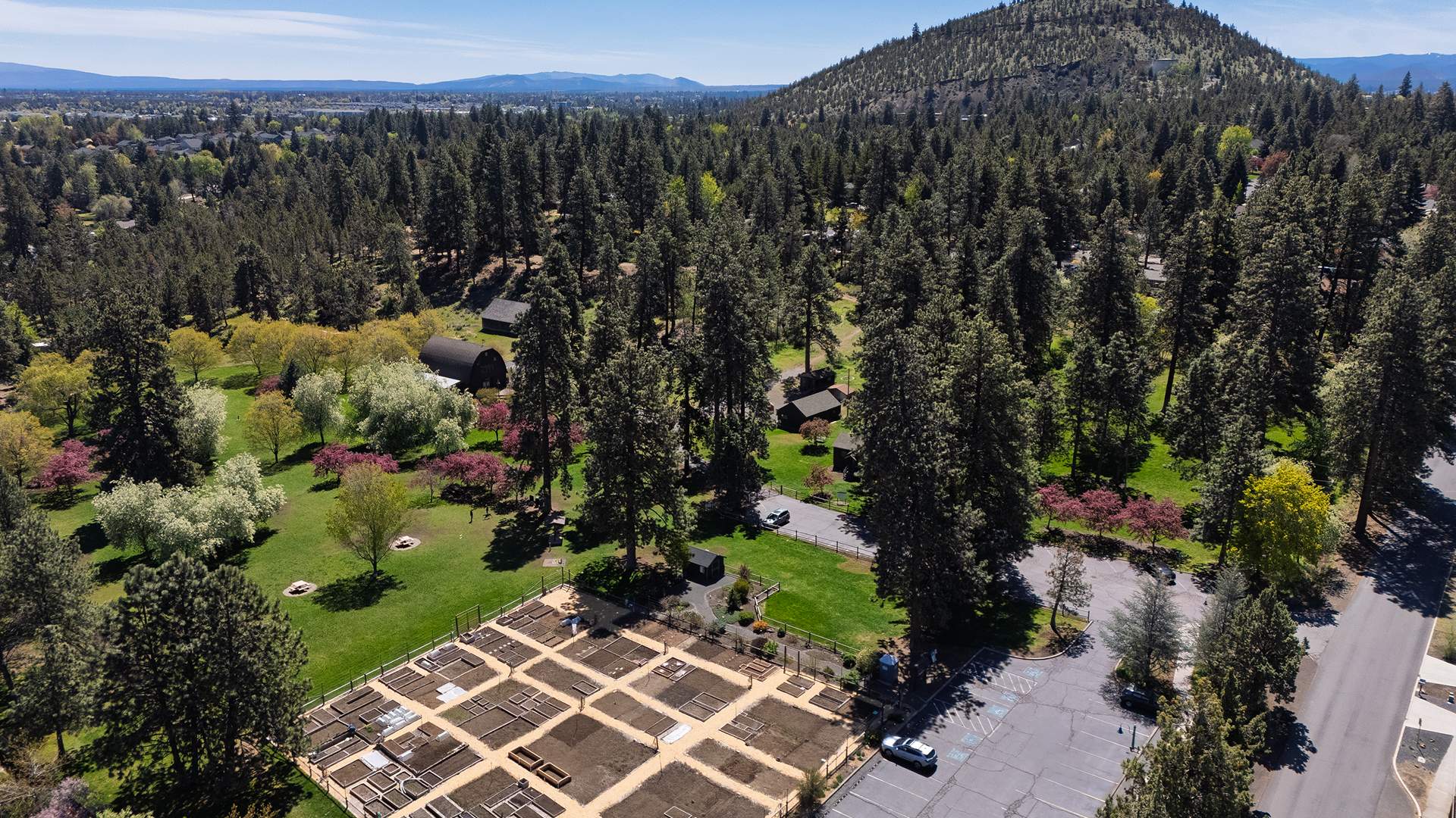 Area Guide - Orchard District - 01