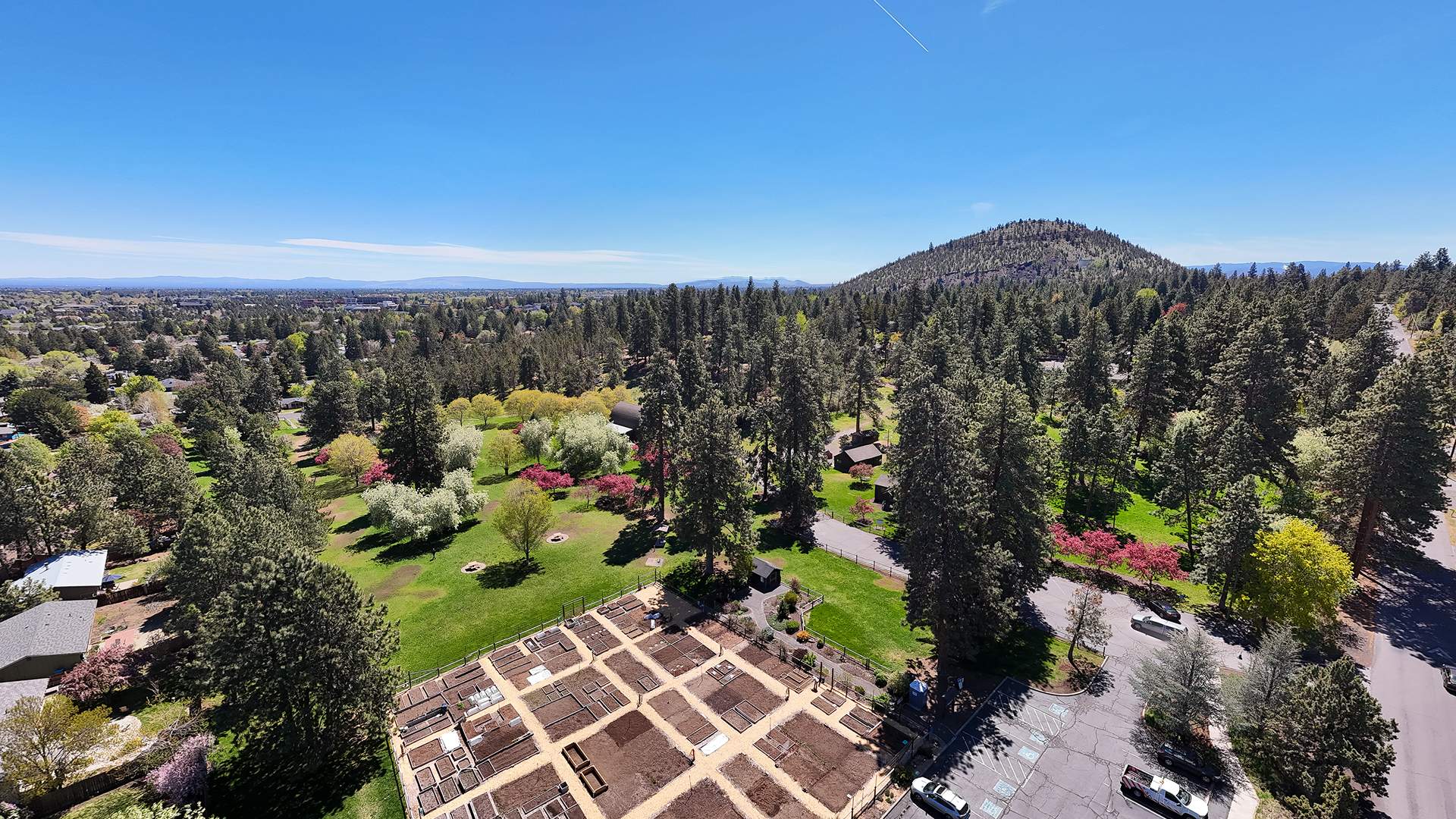 Area Guide - Orchard District - 03