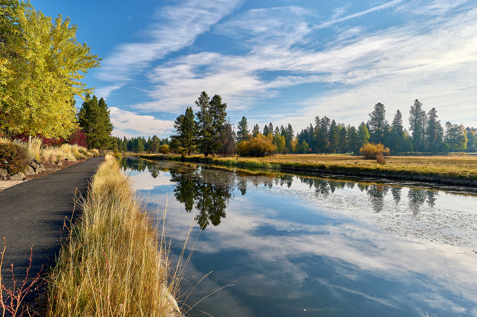 Area Guide - River Meadows - 02