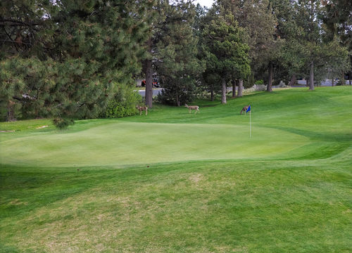 Area Guide - River_s Edge - 01