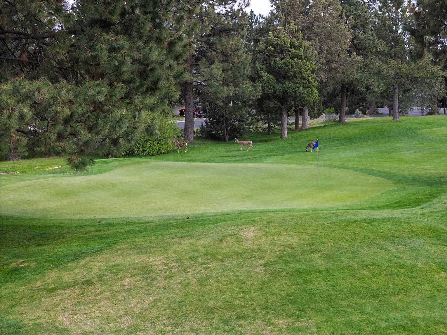 Area Guide - River_s Edge - 01