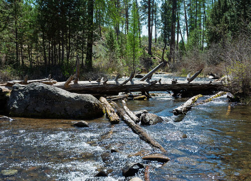Area Guide - Shevlin - 01