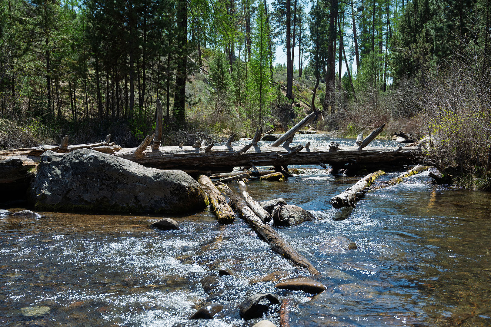 Area Guide - Shevlin Ridge - 01