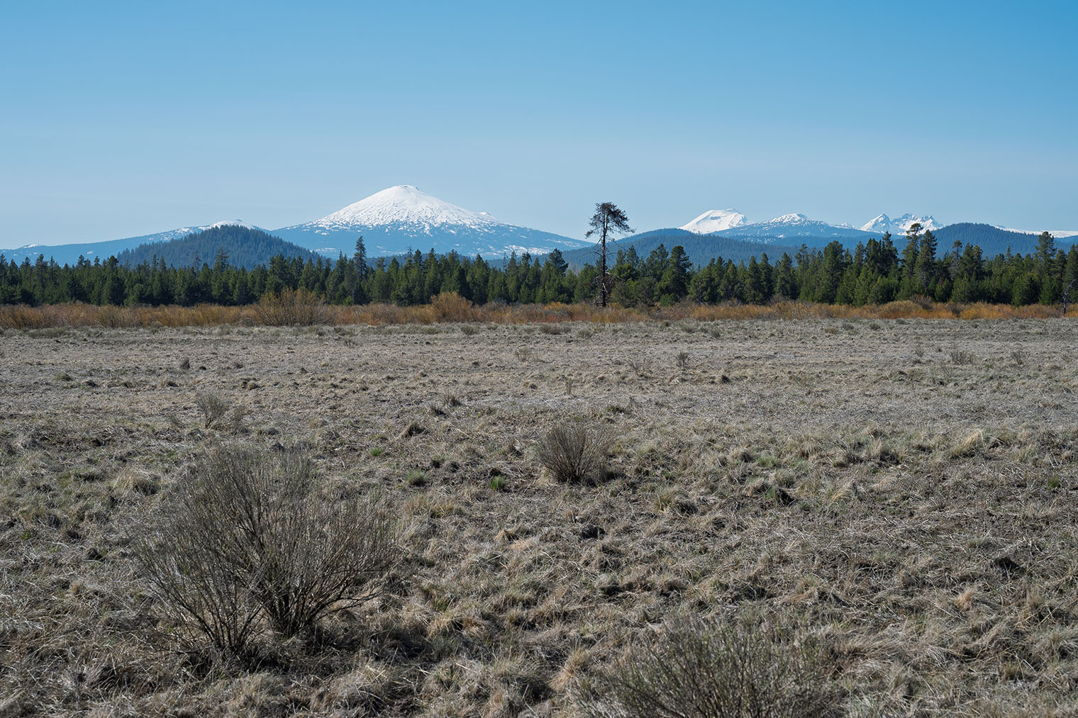 Area Guide - Vandevert Ranch - 02