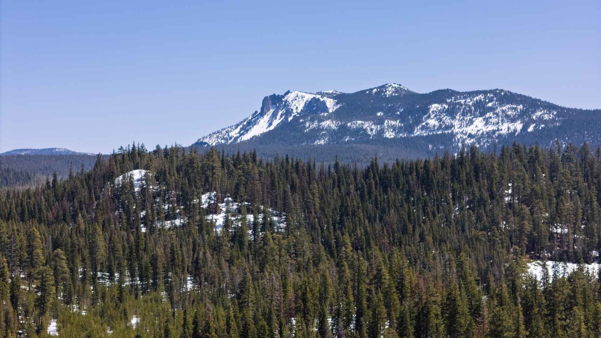 Ryan Realty - La Pine Img1