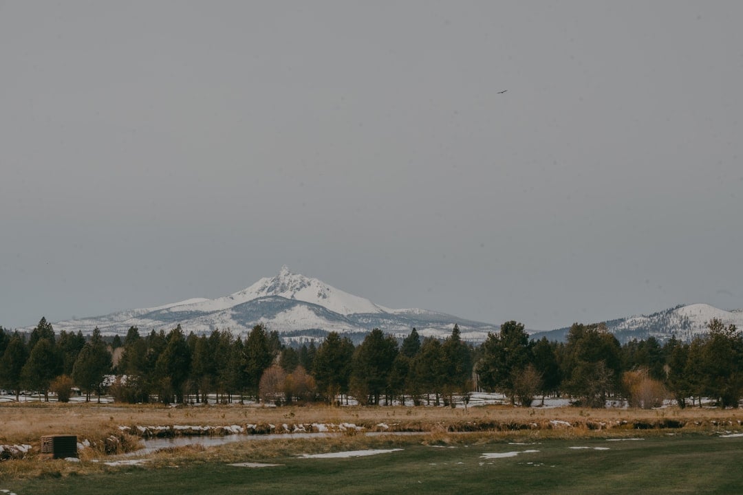 Bend's Juniper Ridge Strategy How the City Is Addressing Homelessness and Housing — photo by Alexandra Fuller on Unsplash