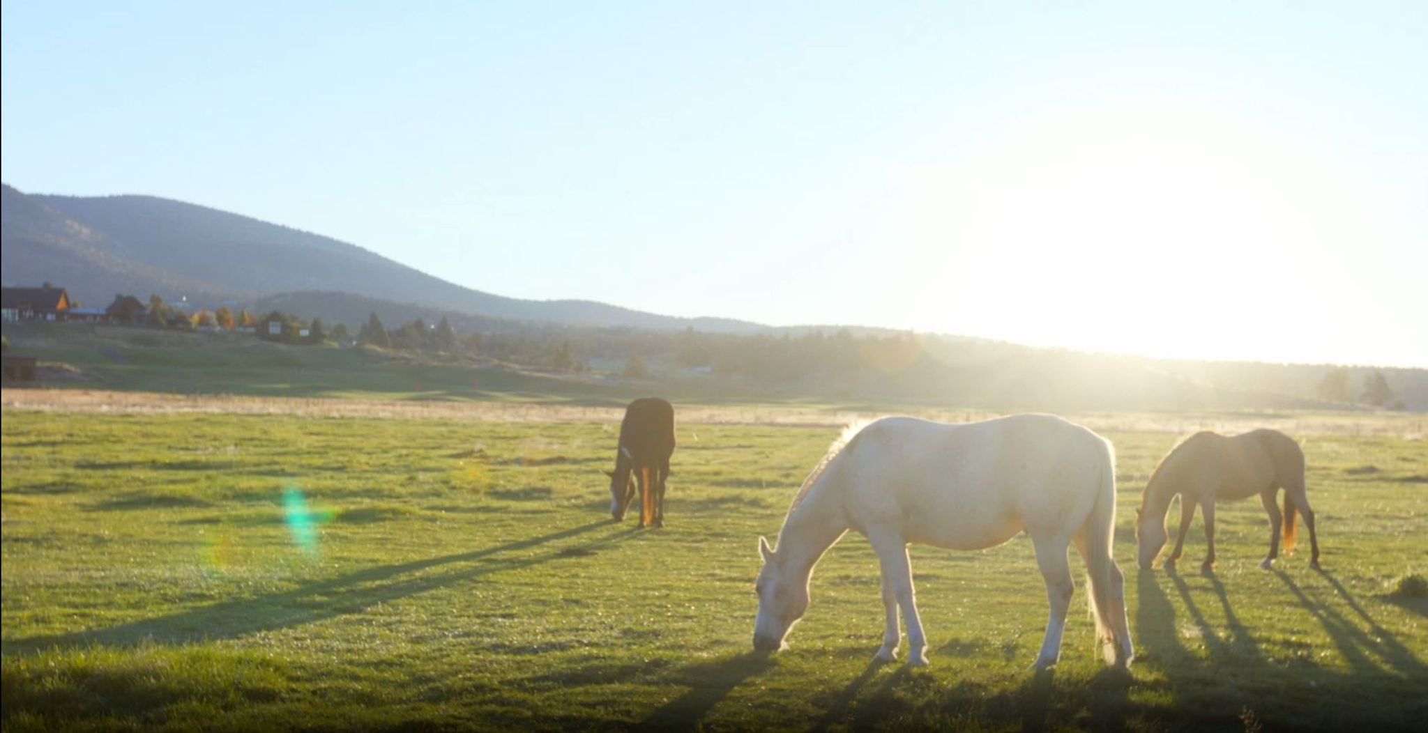 Brasada Ranch high-desert landscape with Cascade mountains, Powell Butte Oregon