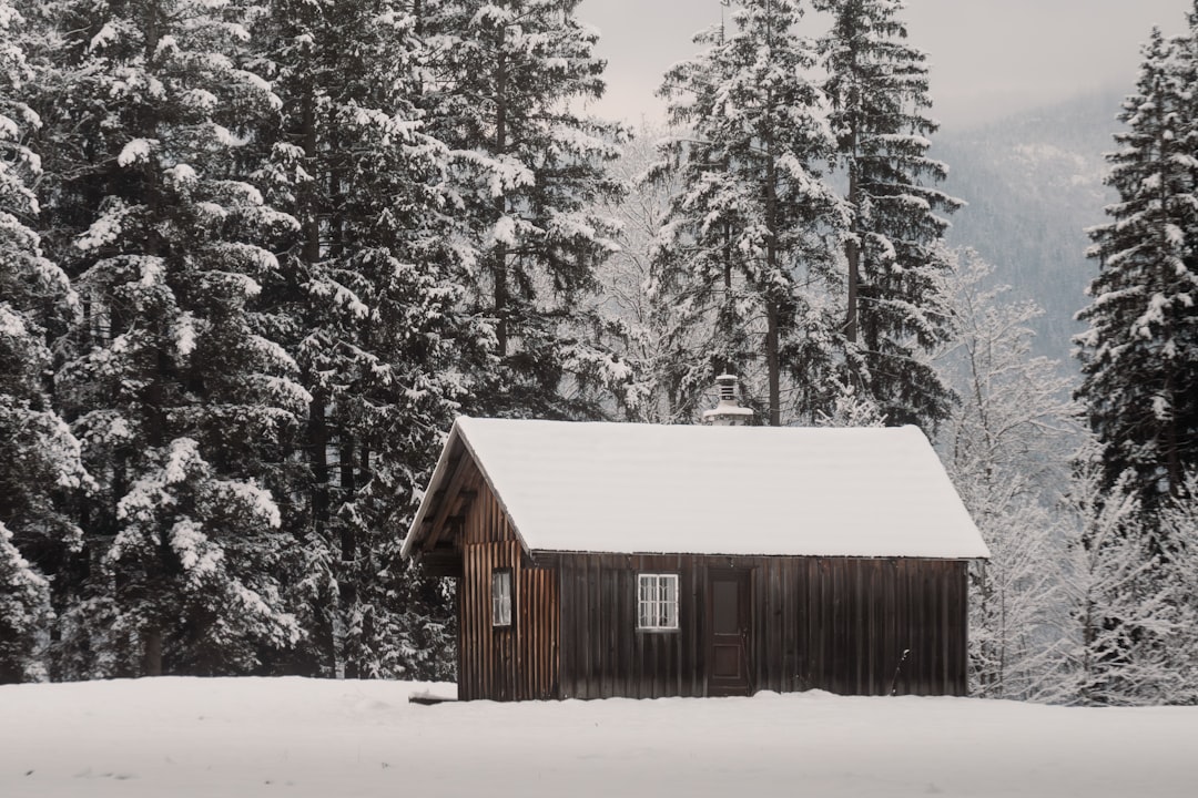 Getting Around Central Oregon: A Transportation Guide — photo by Ahmet Yüksek ✪ on Unsplash