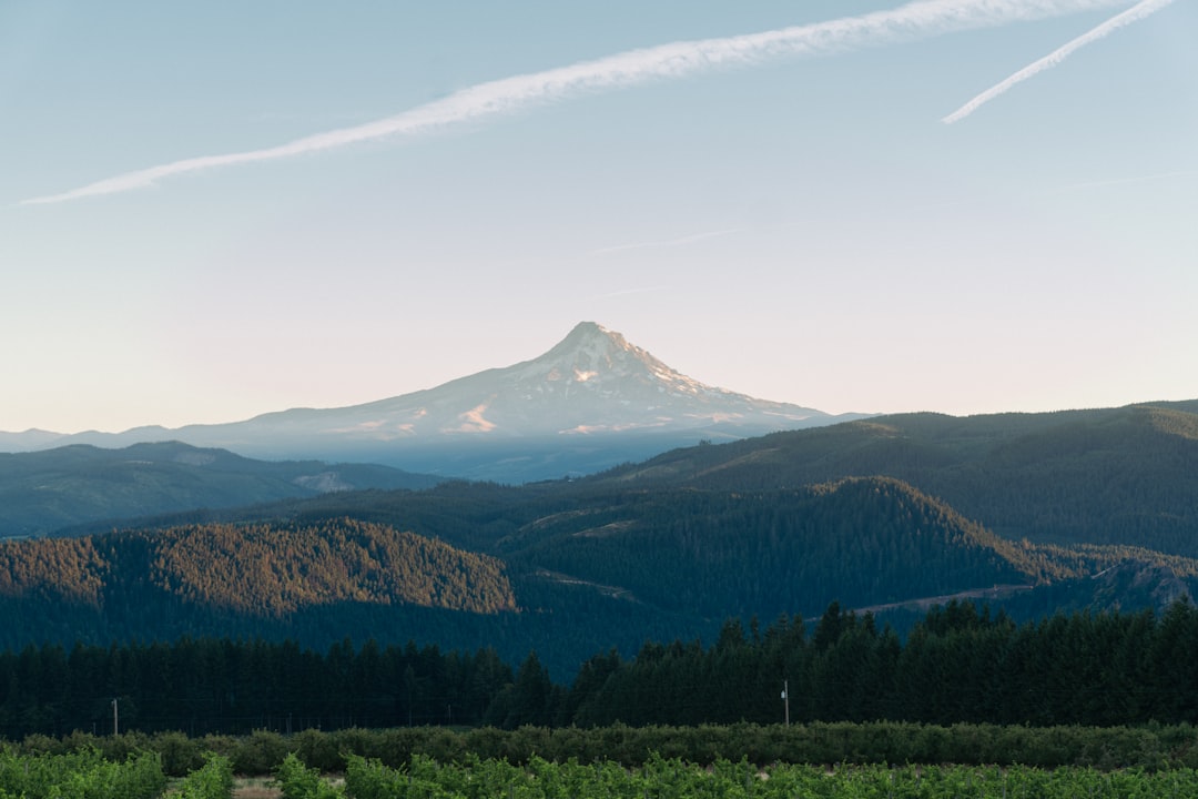 What to Know About HOAs in Central Oregon — photo by Charlie Fair on Unsplash