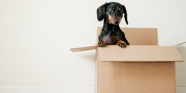 Moving to Sisters Oregon: What to Expect