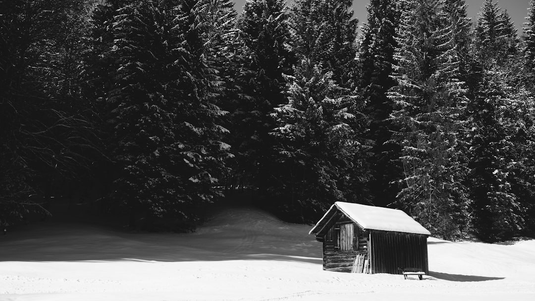 Vacation Rental Rules in Bend and Deschutes County — photo by Justus Schupmann on Unsplash