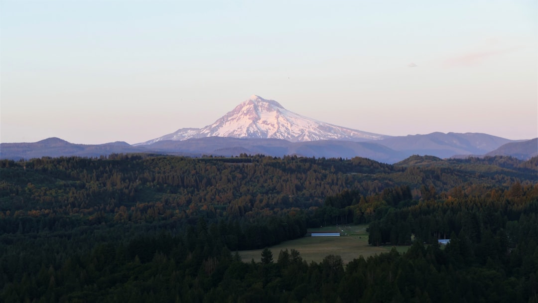 Working Remote from Central Oregon — photo by Joris Beugels on Unsplash