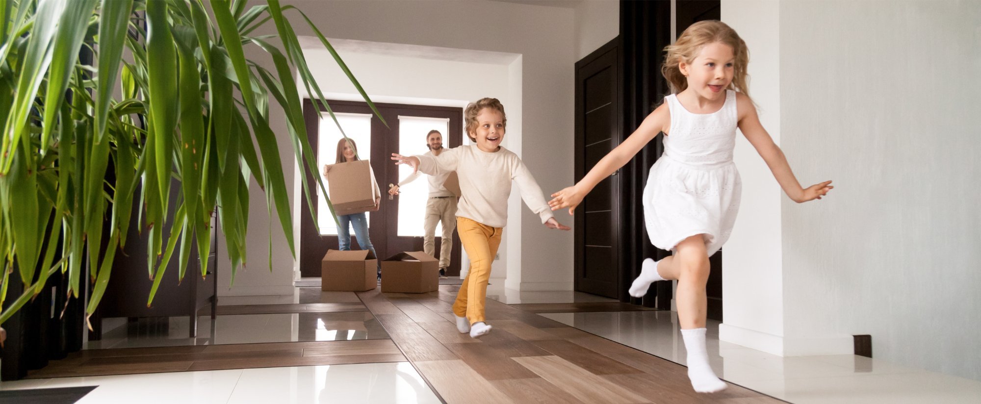 Helping buyers navigate a competitive market