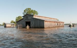 Natural Disaster Farm