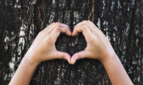 5 EASY WAYS TO MAKE YOUR HOME GREENER