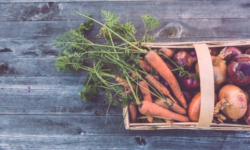 5 TIPS FOR CREATING AN ORGANIC GARDEN