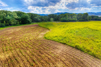 5163 Independence, Boulder_046