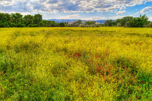 5163 Independence, Boulder_053