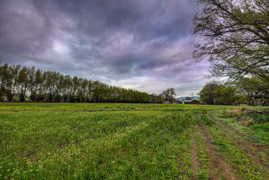 5163 Independence, Boulder_10