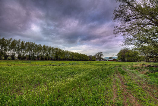 5163 Independence, Boulder_10