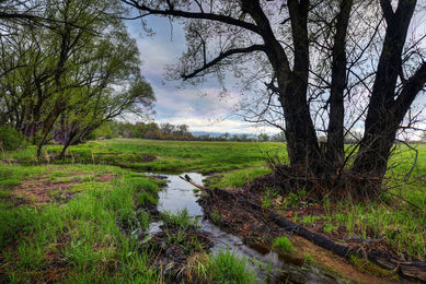 5163 Independence, Boulder_13