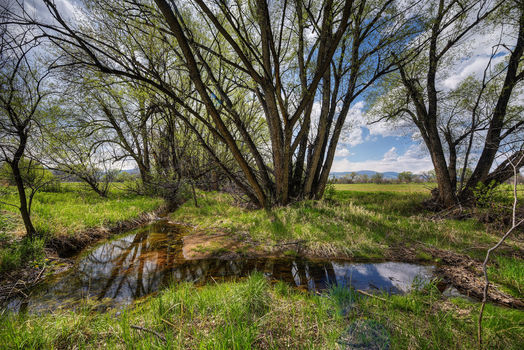 5163 Independence, Boulder_14