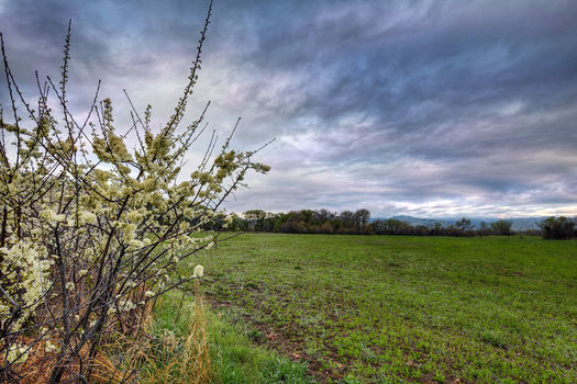 5163 Independence, Boulder_16