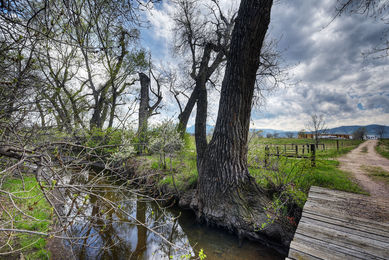 5163 Independence, Boulder_19