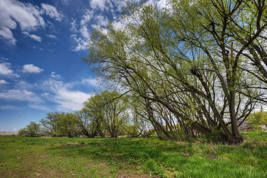 5163 Independence, Boulder_22