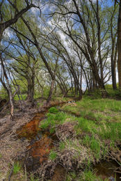 5163 Independence, Boulder_23