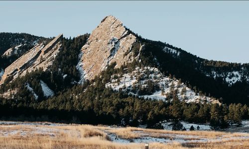 FEBRUARY NEWSLETTER 2020