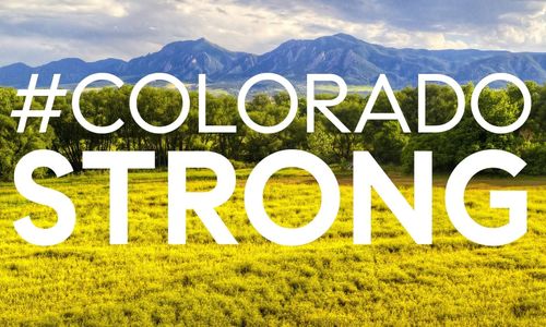 NUMBERS ABOVE 2019 AGAIN