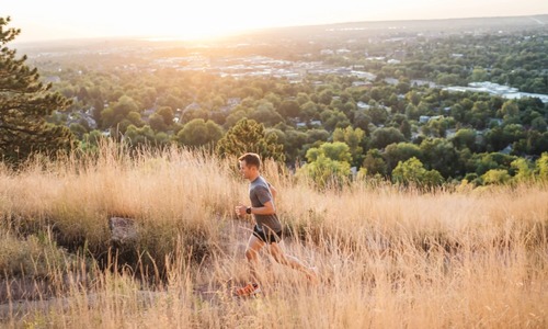 FIVE QUESTIONS WITH: DAVID TROW - ON HOBBIES