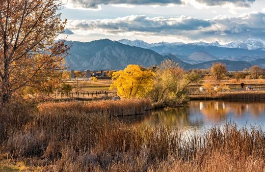 Broomfield area page image 04